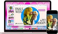 MacBook Neo, blush color, next to iPhone, MacBook Neo screen shows presentation titled Finals Week Pet Therapy with photo of a person holding a guinea pig, iPhone screen shows same photo, which has been turned into a sticker to use in presentation
