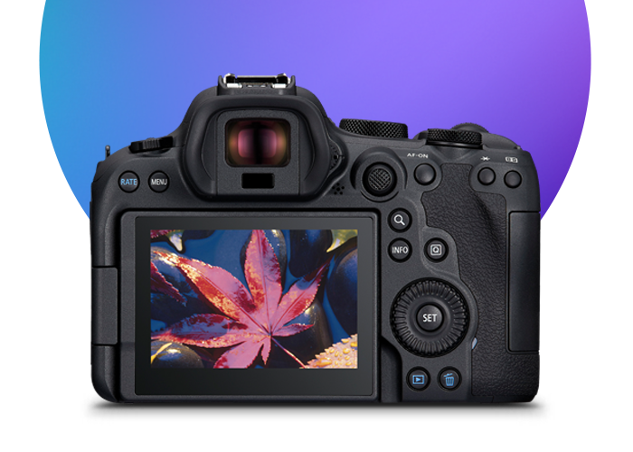 Cheapest Place to Buy Camera Body: Top Deals & Discounts