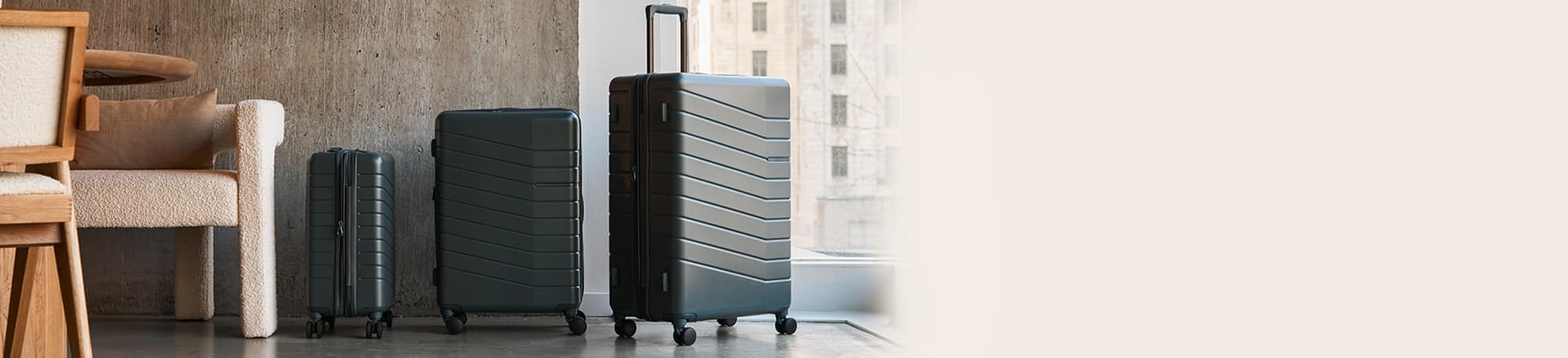 Luggage