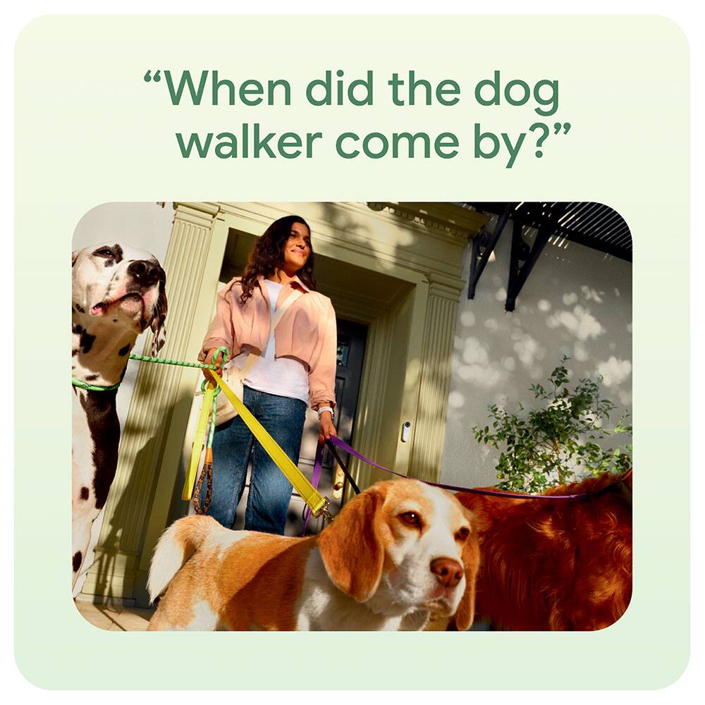“When did the dog walker come by?”