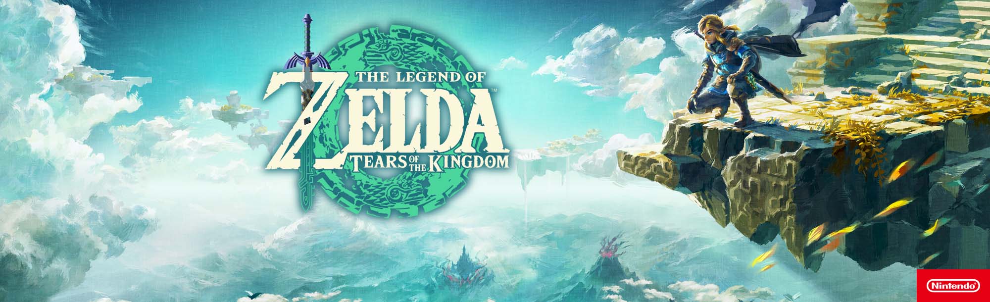 The Legend of Zelda Tears of The Kingdom. Warrior on ledge looking at clouds. 