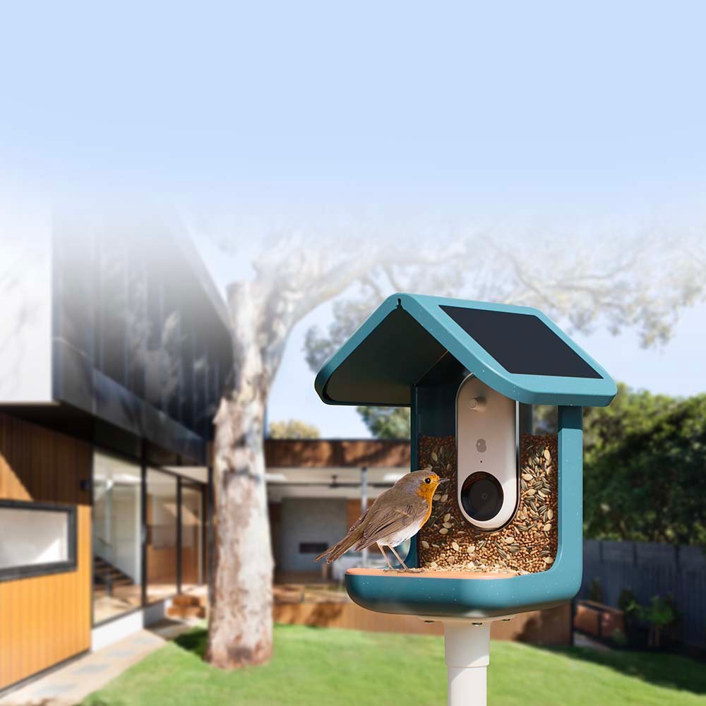 Smart bird feeder