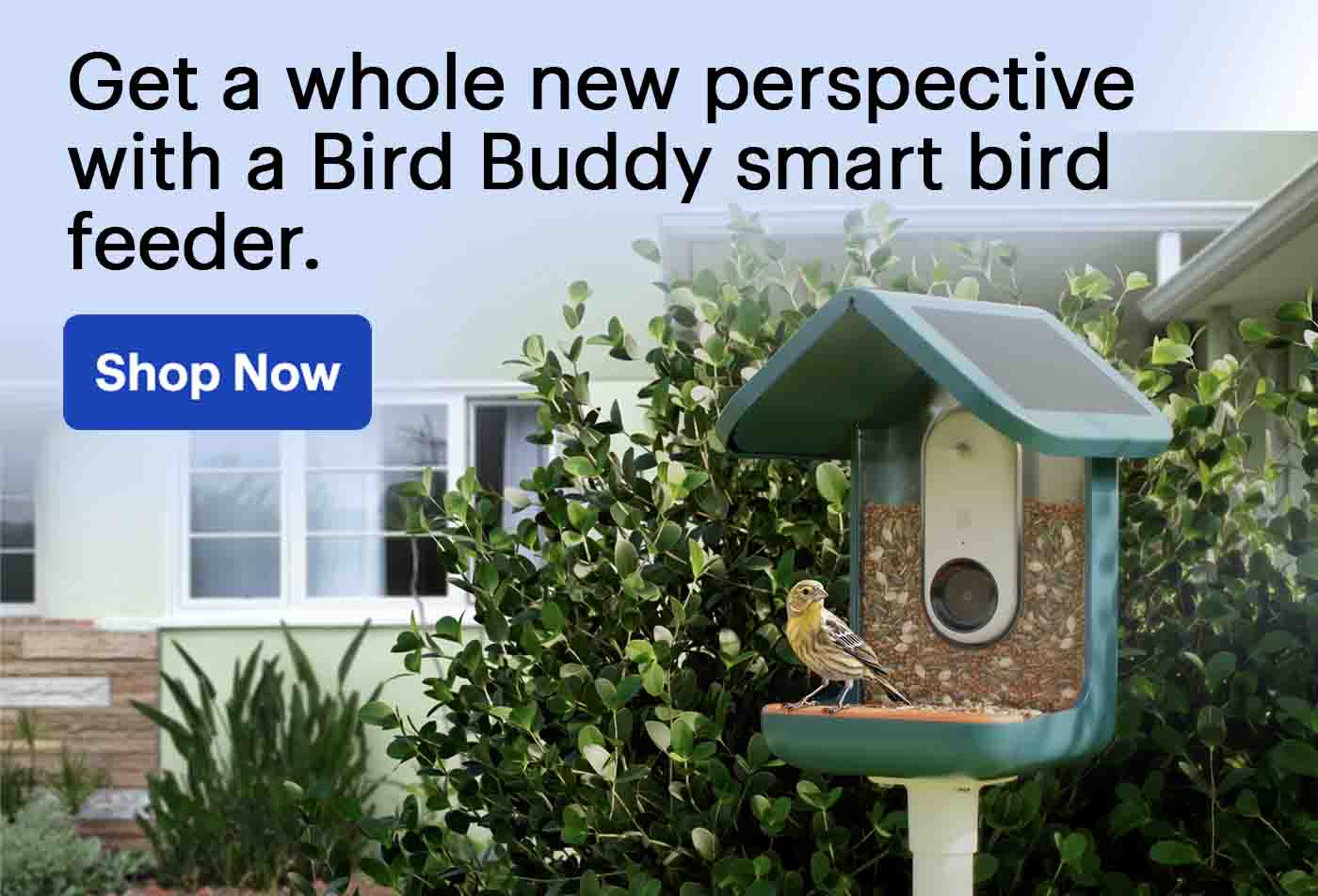 Smart bird feeder snaps bird selfies for collectible game and