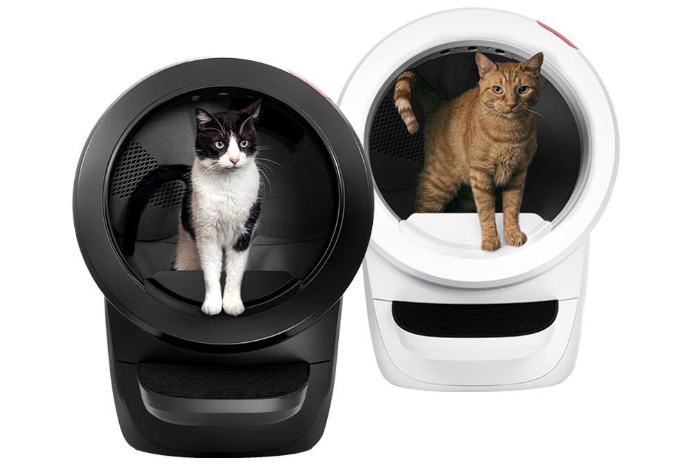 Cats in their litter boxes