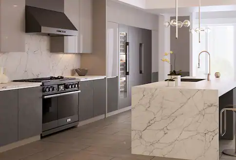 Black luxury appliance suite in modern kitchen