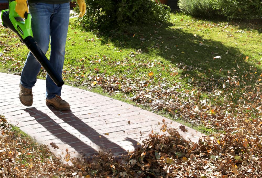 Leaf blower