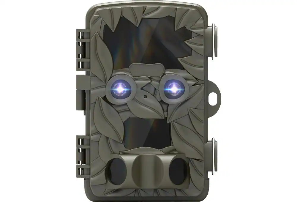What to Look For in a Trail Camera