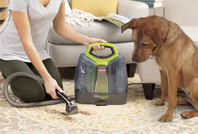 Pet owner vacuuming hair on floor with dog watching