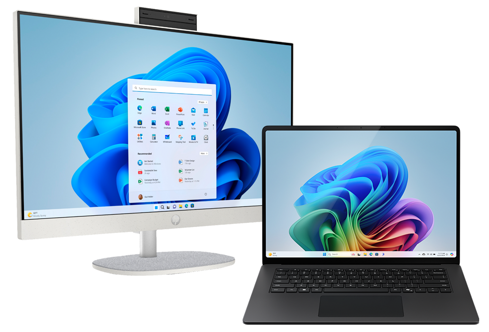 Laptop and desktop PCs