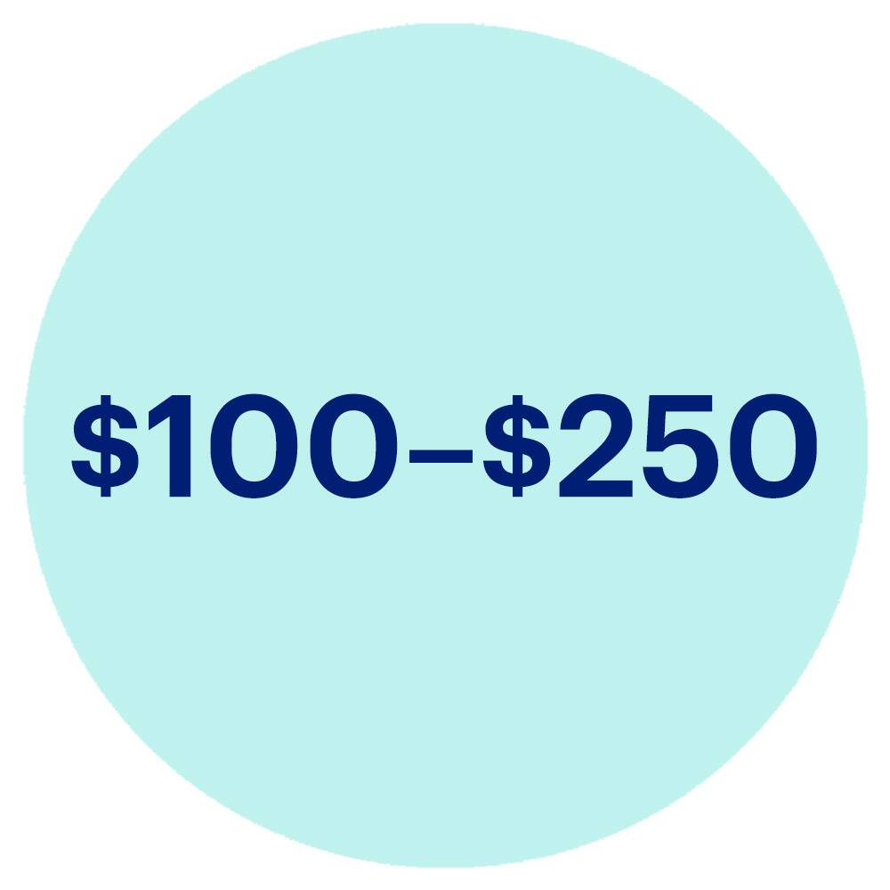 $100–$250