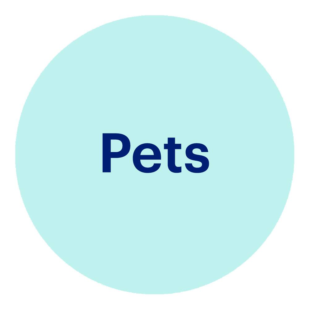 Gifts for pets