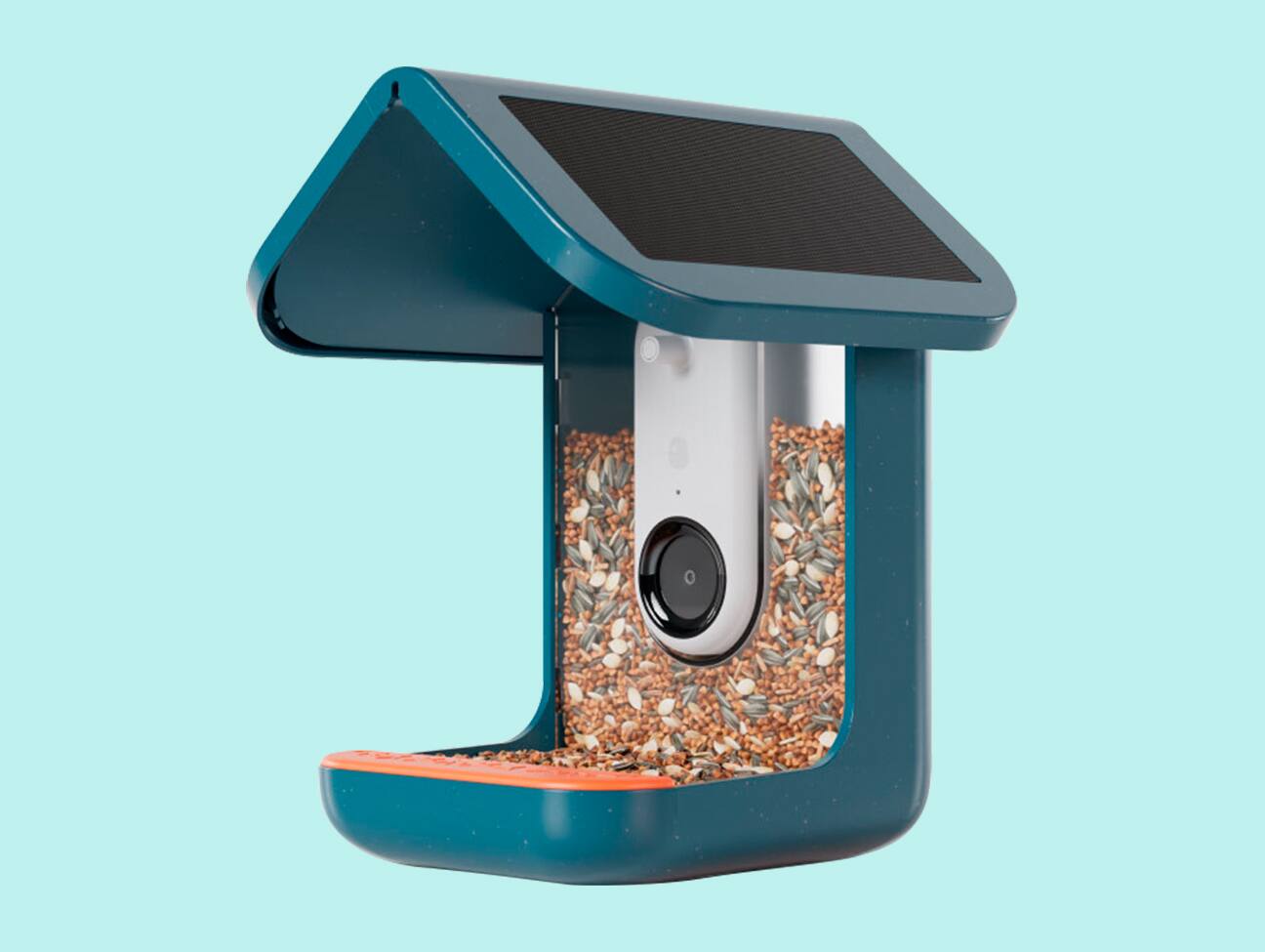 Themed Promotion Image