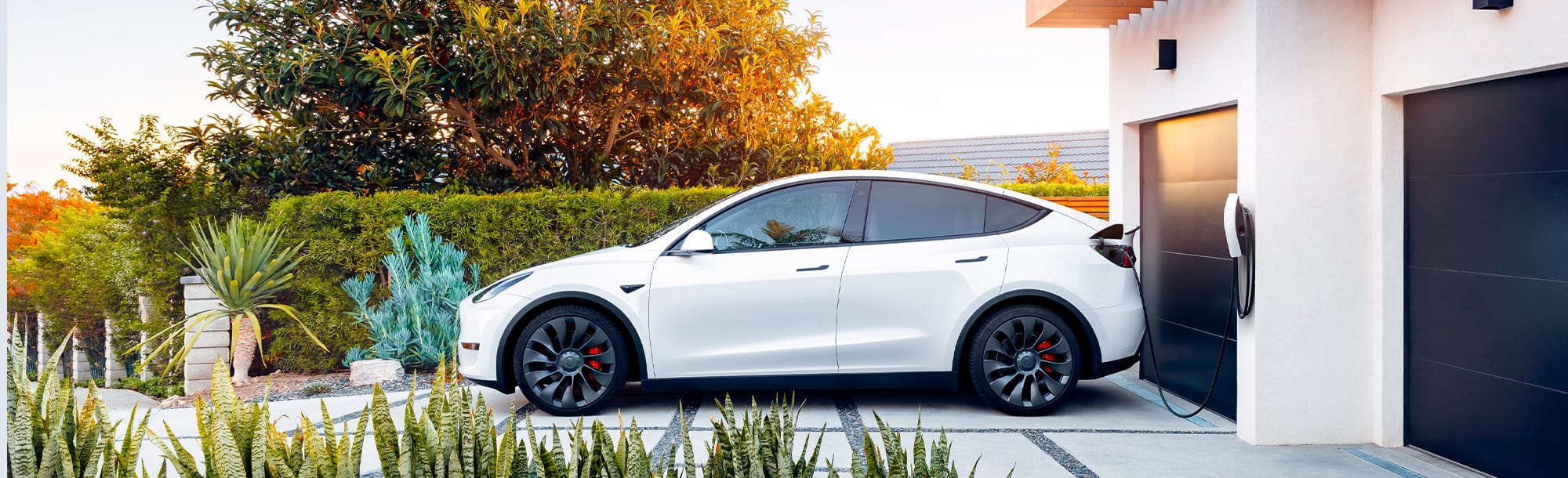Tesla car