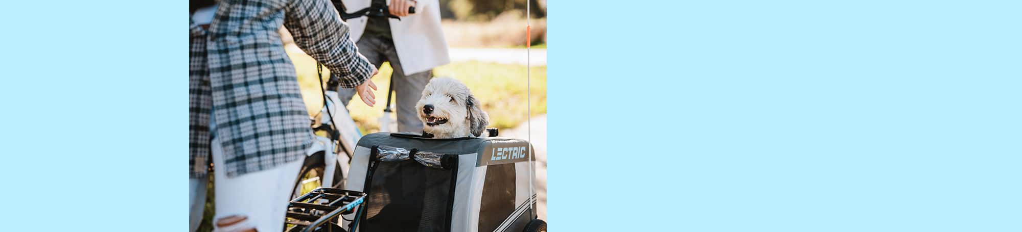 Dog in a trailer behind an electric bike