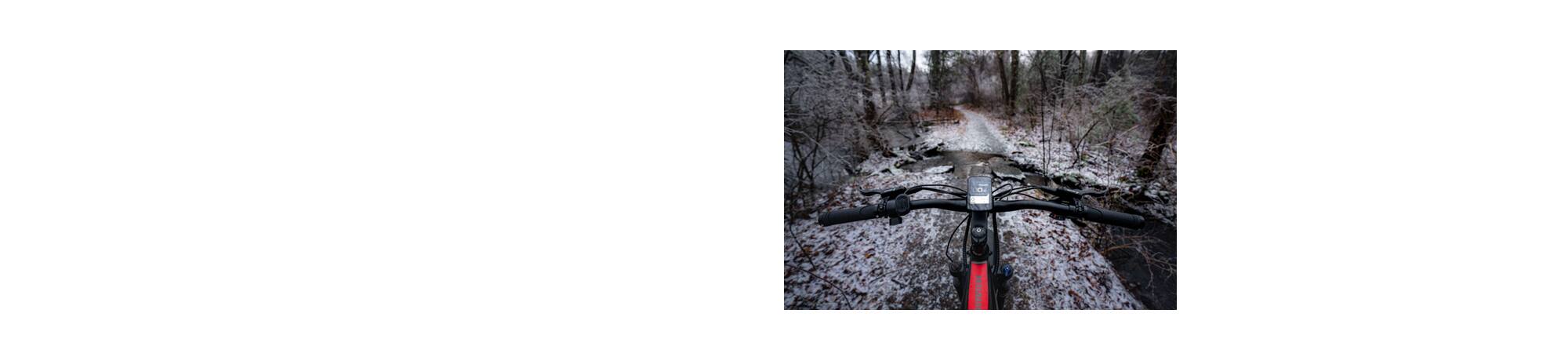 Pedal assist and throttle controls on handlebars