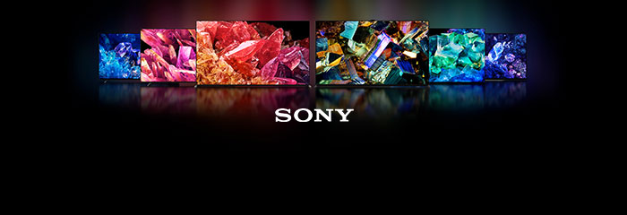 Best Buy: Sony Google TV 24 Class / 1080p / 60Hz / LCD HDTV NSX24GT1