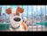 Trailer for The Secret Life Of Pets video 2 minutes 30 seconds