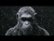 Teaser for War for the Planet of the Apes video 0 minutes 37 seconds