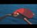 Trailer for The Red Turtle video 1 minutes 58 seconds