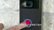 Video Blog from Kelly Tomlinson on Ring Doorbell video 0 minutes 54 seconds