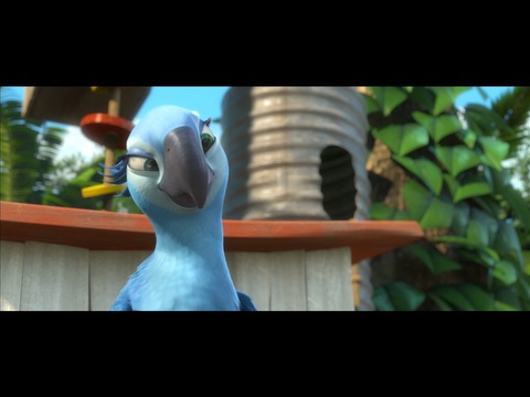 Rio 2 Movie Collection Blu Ray 2 Discs Best Buy