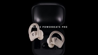 Beats by Dr. Dre Powerbeats Pro Totally Wireless Earbuds Black 