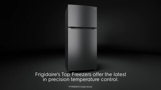 Frigidaire - Gallery 20 Cu. Ft. Top-Freezer Refrigerator - Stainless Steel