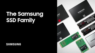 MZ-76E250B/AM Samsung 860 EVO 250GB 2.5 Inch SATA III Internal SSD NEW 