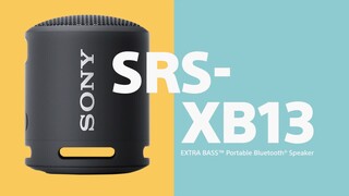Sony SRS-XB13 Extra BASS Wireless Portable Compact Speaker IP67 Waterproof
