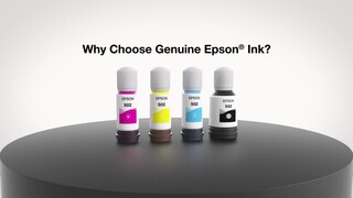 Multipack of Epson T664 Ink Bottles, Low Price Guarantee