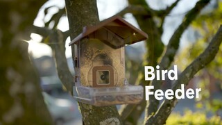 Bird Buddy Smart Bird Feeder with Solar Roof Blue BBG1003BAB - Best Buy