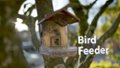 Blink Cam Bird Feeder Video video 0 minutes 37 seconds