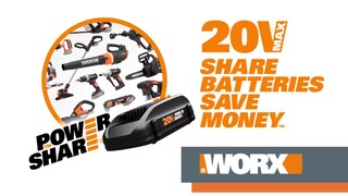 WORX WG323.1 20V Power Share™ 2-in-1 Cordless Polesaw, with Auto