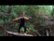 Blu-Ray - Clip: Log Bridge video 0 minutes 14 seconds