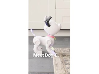 Dog-E Interactive Robot Dog with Colorful LED Lights, 200+ Sounds &  Reactions, App Connected 1691-02 - Best Buy