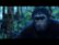 Trailer for Dawn Of The Planet Of The Apes video 2 minutes 29 seconds
