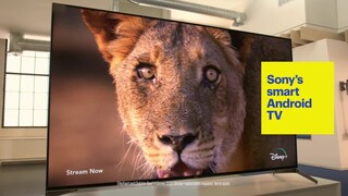 Best Buy: Sony 65 Class X800H Series LED 4K UHD Smart Android TV XBR65X800H