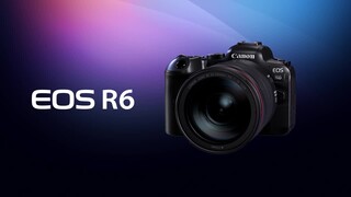 Best Buy: Canon EOS R6 Mirrorless Camera with RF 24-105mm f/4L IS 