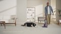 Dyson Ball Animal 3 Upright Vacuum Trailer Video video 0 minutes 34 seconds