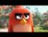 Trailer for The Angry Birds Movie video 2 minutes 05 seconds