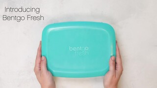Bentgo Fresh 4 Compartment Bento Style Lunch Box 2 716 H x 7 W x 9 14 D  Aqua - Office Depot