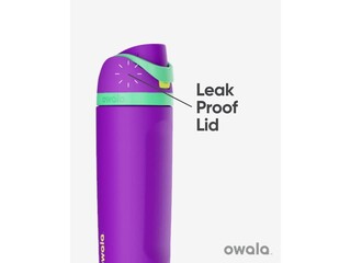 Owala® FreeSip® Insulated Stainless Steel Water Bottle BPA-Free, 24-Ounce  (Canyon Falcon)