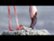 Clip: Baby Flamingo video 1 minutes 09 seconds