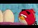 Trailer for Angry Birds Toons: Season One - Volume One video 0 minutes 41 seconds