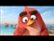 Trailer for The Angry Birds Movie video 2 minutes 32 seconds