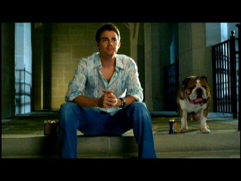 van wilder bulldog balls