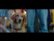 Trailer for A Dog's Purpose video 2 minutes 17 seconds