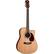Front Standard. Luna Guitar - AMD 100 Acoustic Guitar.