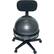 Front Standard. Cando - Ball Chair.