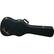 Front Standard. Fender - Carrying Case for Guitar - Black.